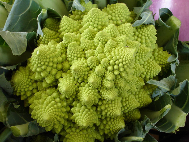 Broccolo romano - Fonte Wikipedia, licenza Creative Commons