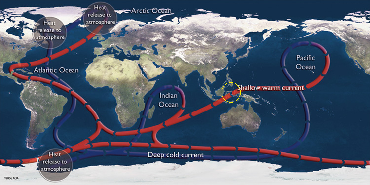 FIGURA 1 - Carta globali corernti oceaniche subsuperficiali