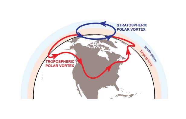 Polar Vortices