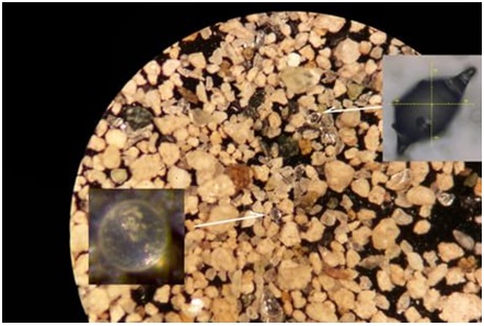 Immagine dei sedimenti analizzati nel corso dello studio di Schaller e colleghi con ingrandimenti dei microtectiti presenti (fonte dell'immagine: Rensselaer Polytechnic Instititute)