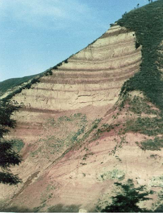 Figura 2 – Sequenza di paleo suoli a loess nei pressi di Xian (parte sudorientale del plateau cinese a loess, 200 km a est di Baoji) (Rutter, 2009). In complesso la sezione, alta circa 150 m, copre un periodo di 2 milioni di anni e illustra con efficacia la potenza del fenomeno del trasporto eolico nelle ere glaciali quaternarie. Le bande più scure si sono prodotte nelle fasi interglaciali.